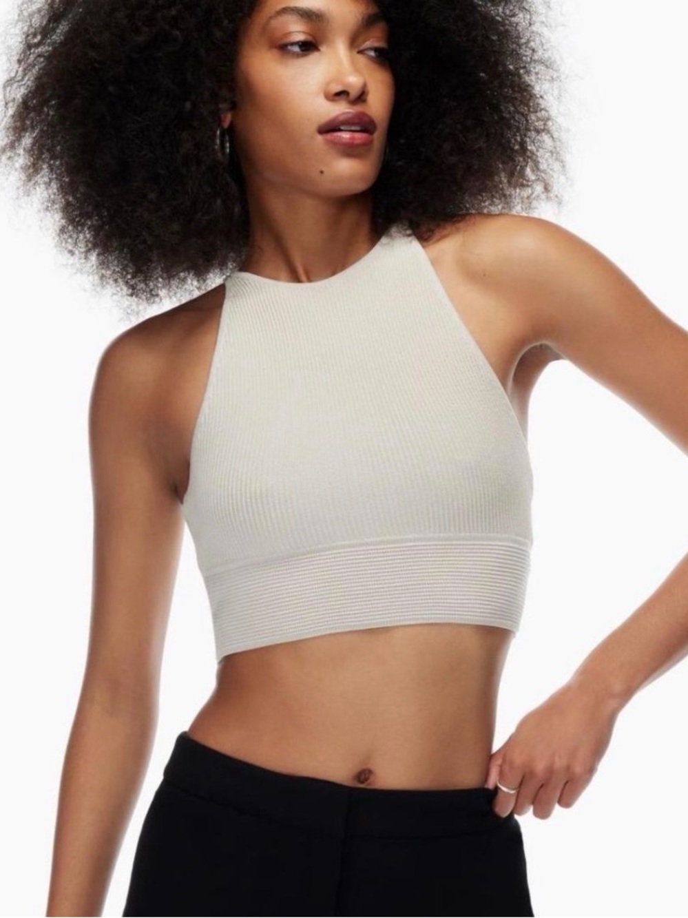 Aritzia Babaton Stefano Sculpt